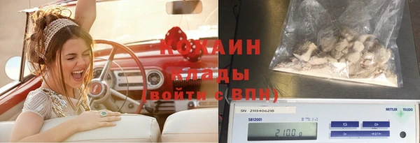 прущие крисы Медвежьегорск