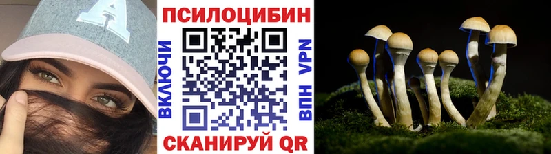 Галлюциногенные грибы прущие грибы  где купить наркоту  Медногорск 