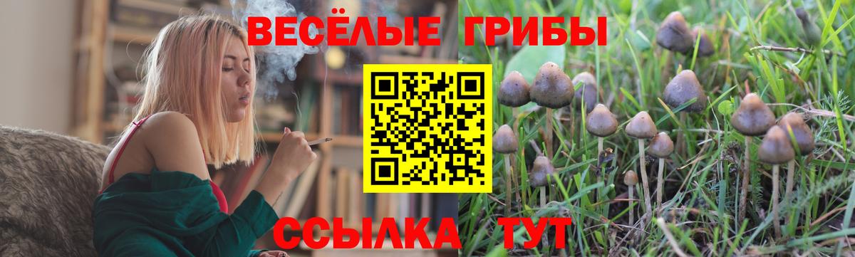 Галлюциногенные грибы MAGIC MUSHROOMS  Медногорск 